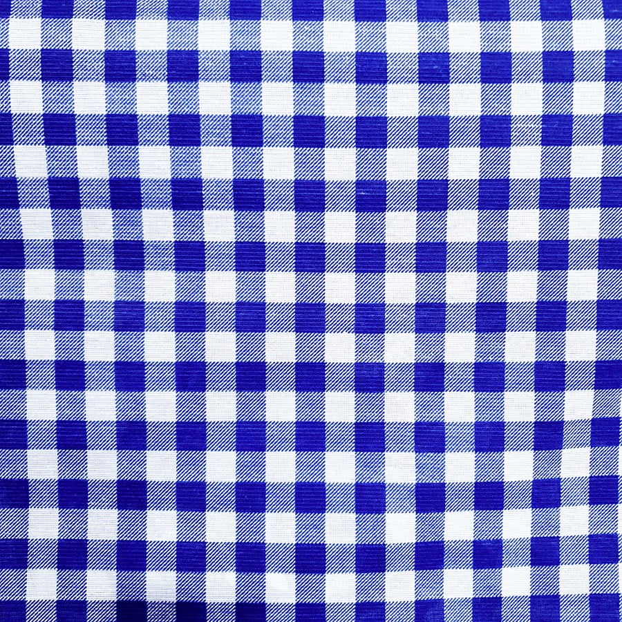 Camisa Cowboys Manga Longa Xadrez Azul e Branco