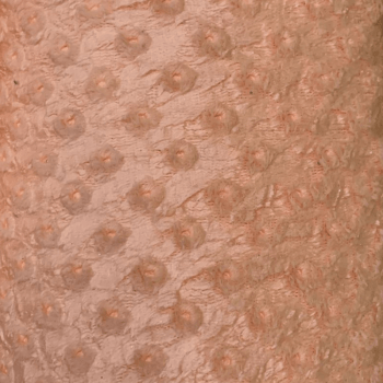 Tecido Malha Coral Fleece Dots Salmão